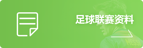 足球联赛资料